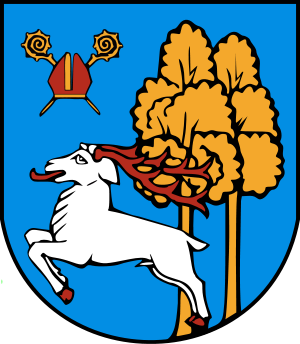 Obecny herb to biały jeleń, którego kopyta, poroże oraz język są koloru czerwonego, skaczący w lewą stronę, obok drzewostanu koloru złotego
